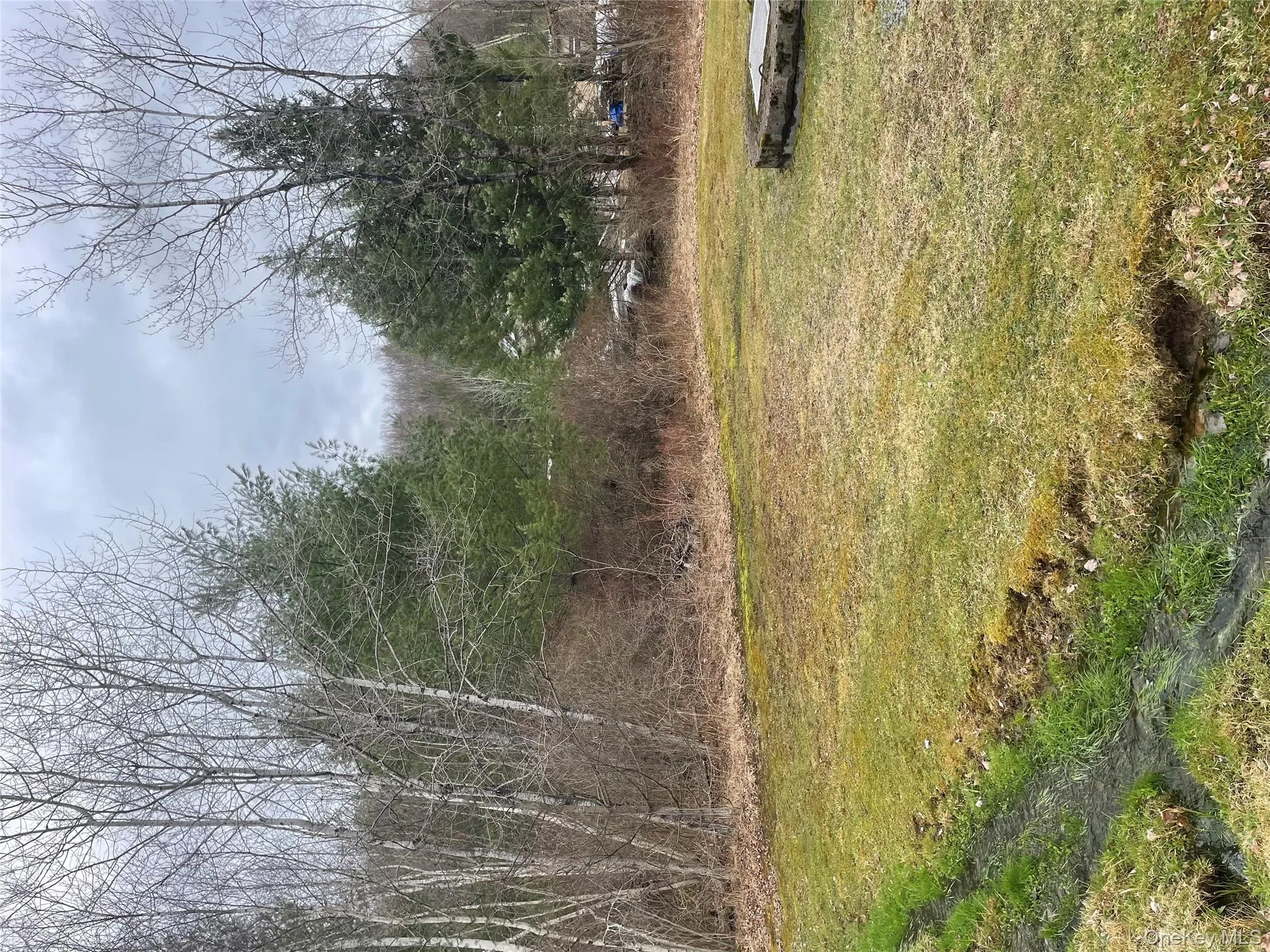 View of yard View of yard
