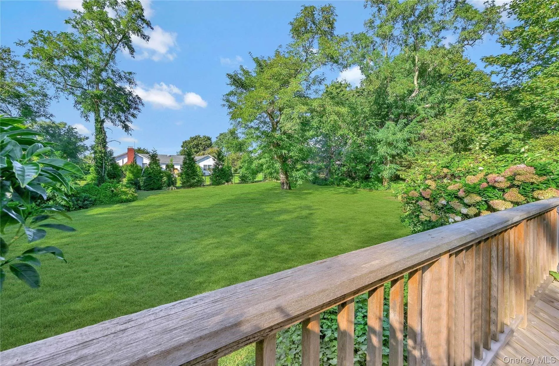 View of yard View of yard