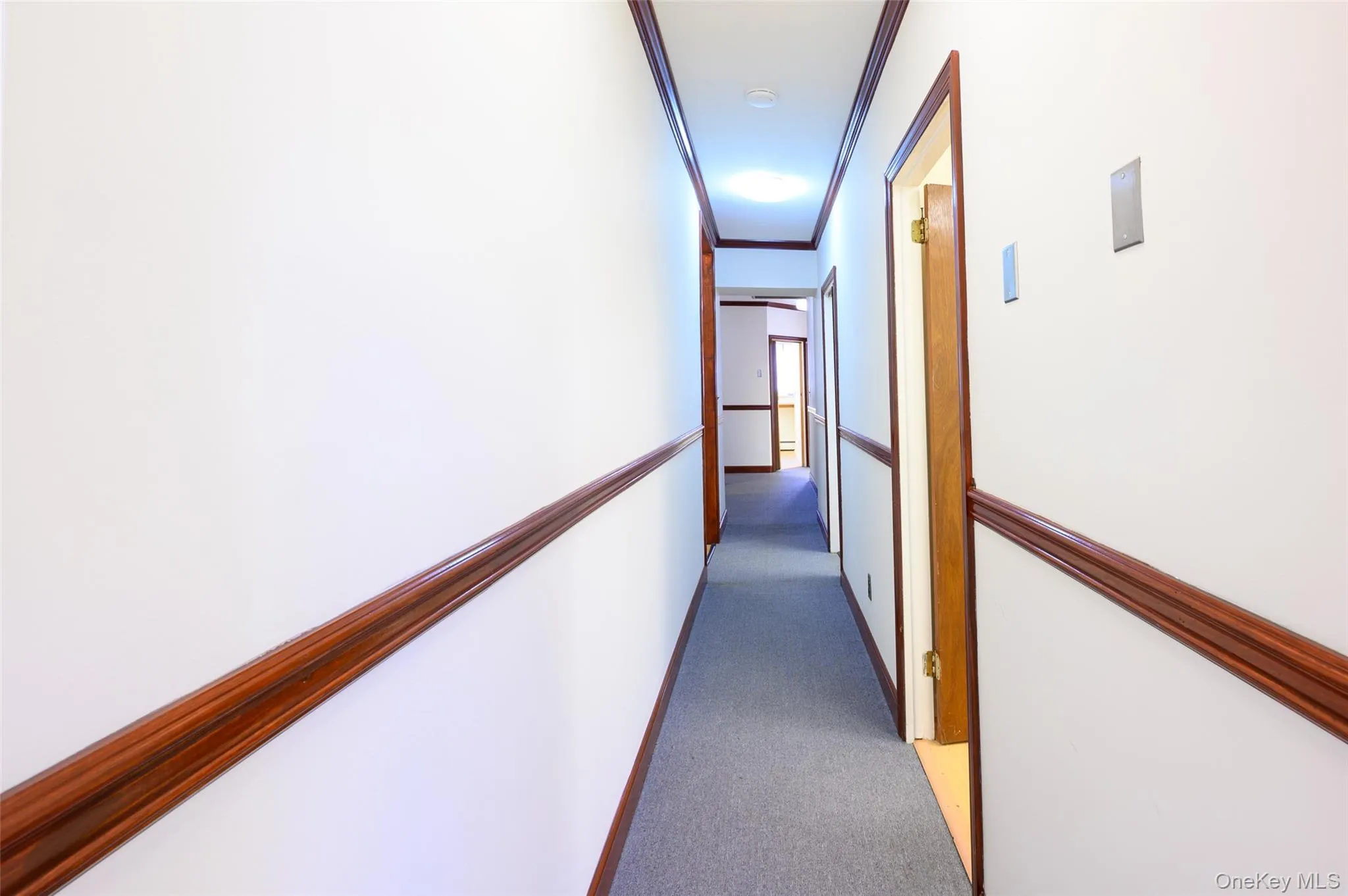 Hallway with carpet floors, ornamental molding, and baseboards Hallway with carpet floors, ornamental molding, and baseboards