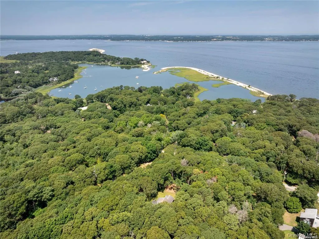 Aerial view featuring a water view and a view of trees Aerial view featuring a water view and a view of trees