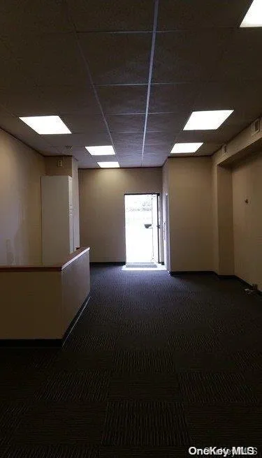 Empty room featuring carpet, a drop ceiling, and a skylight Empty room featuring carpet, a drop ceiling, and a skylight