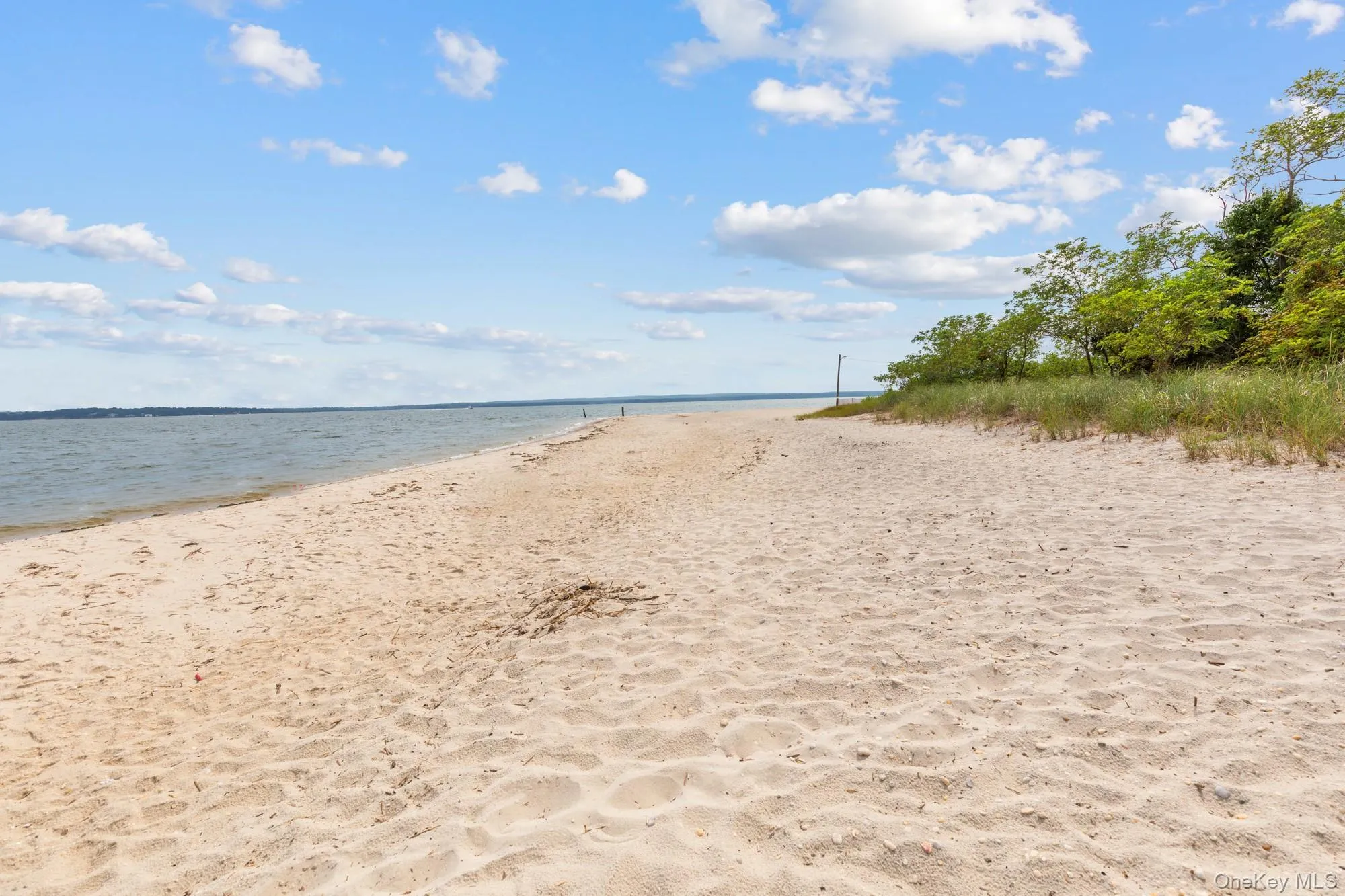 Water view with local beach Water view with local beach