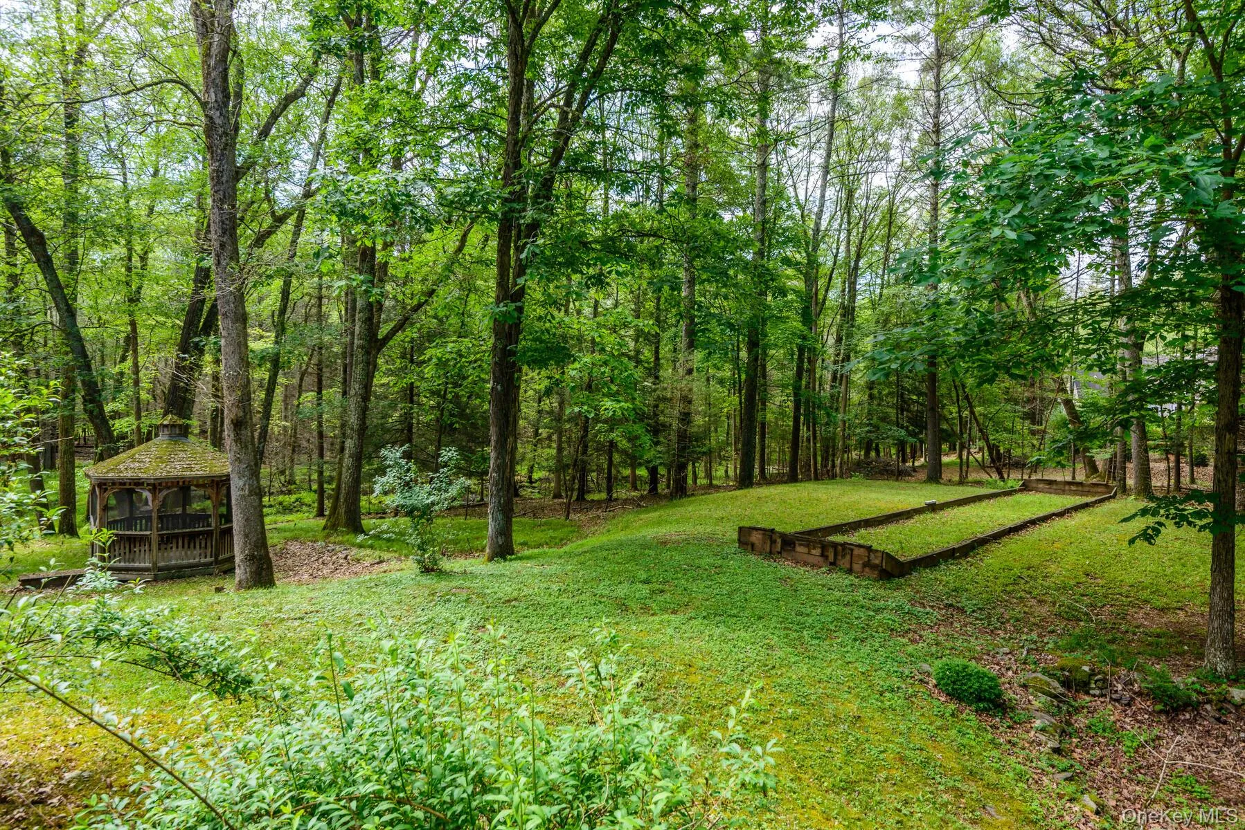 View of yard featuring a view of trees View of yard featuring a view of trees