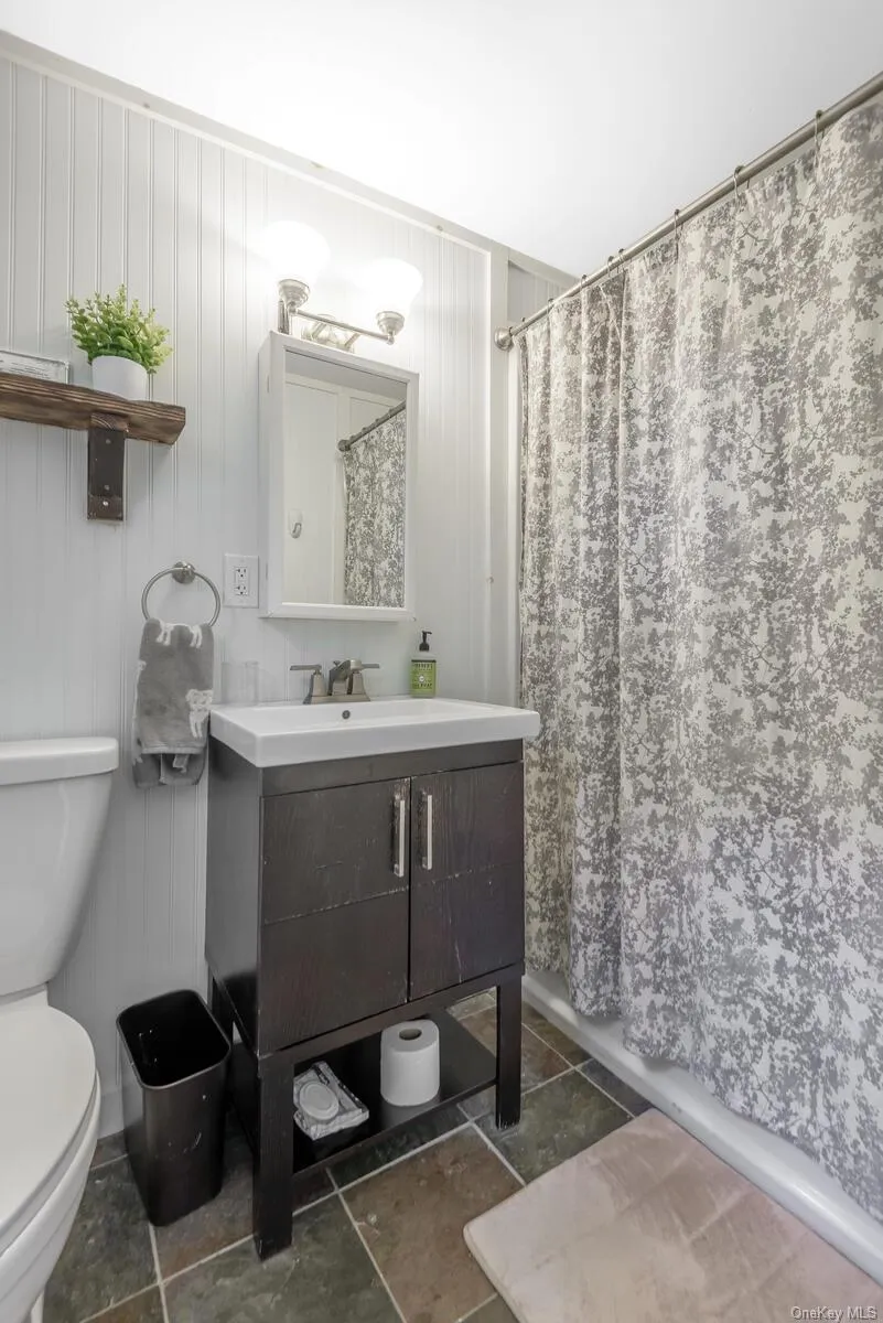 Bathroom with toilet, curtained shower, a decorative wall, and vanity Bathroom with toilet, curtained shower, a decorative wall, and vanity