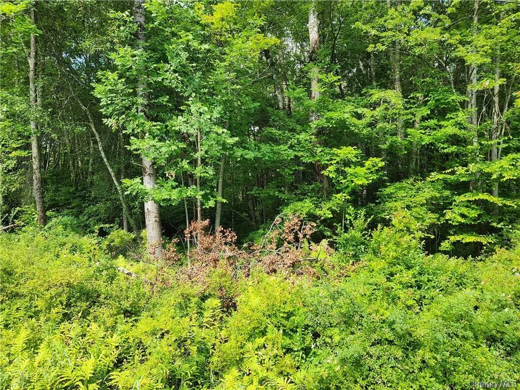 View of nature with a forest view View of nature with a forest view