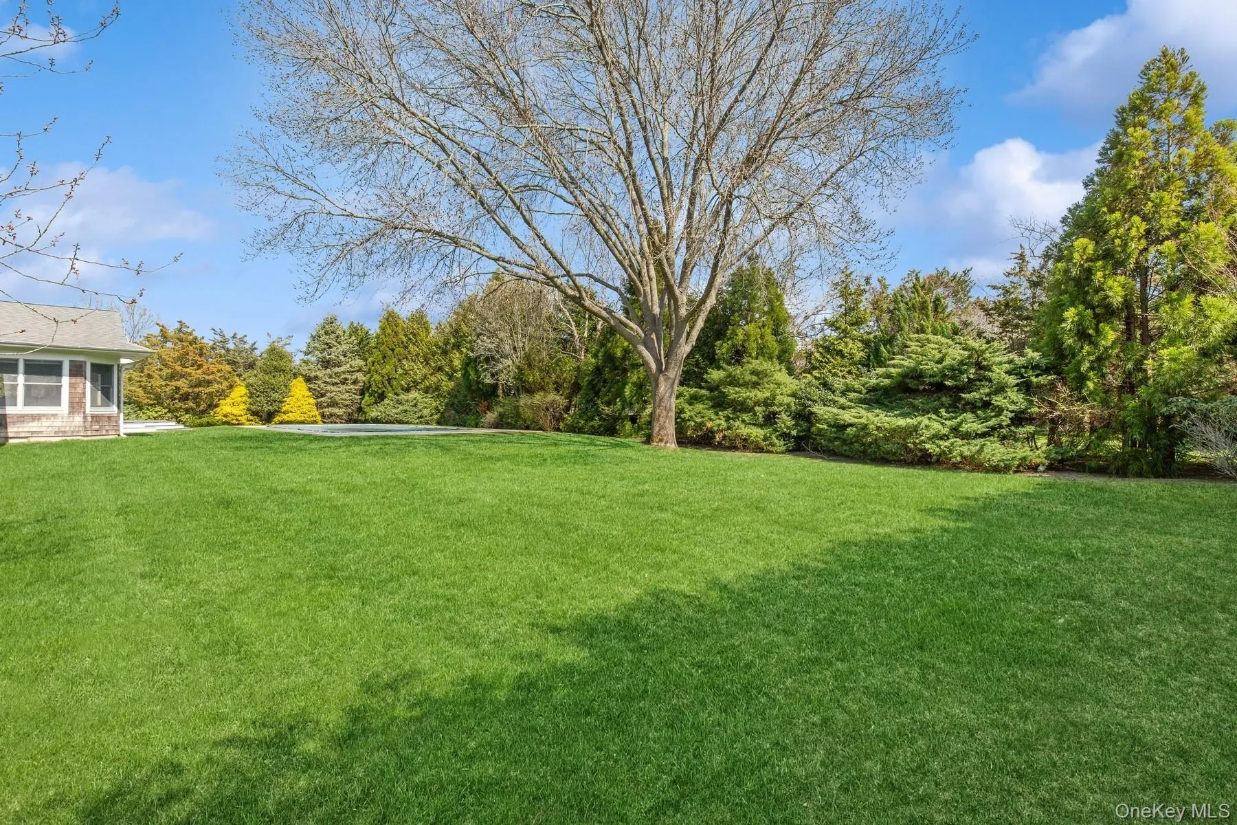 Spacious and Private Yard Spacious and Private Yard