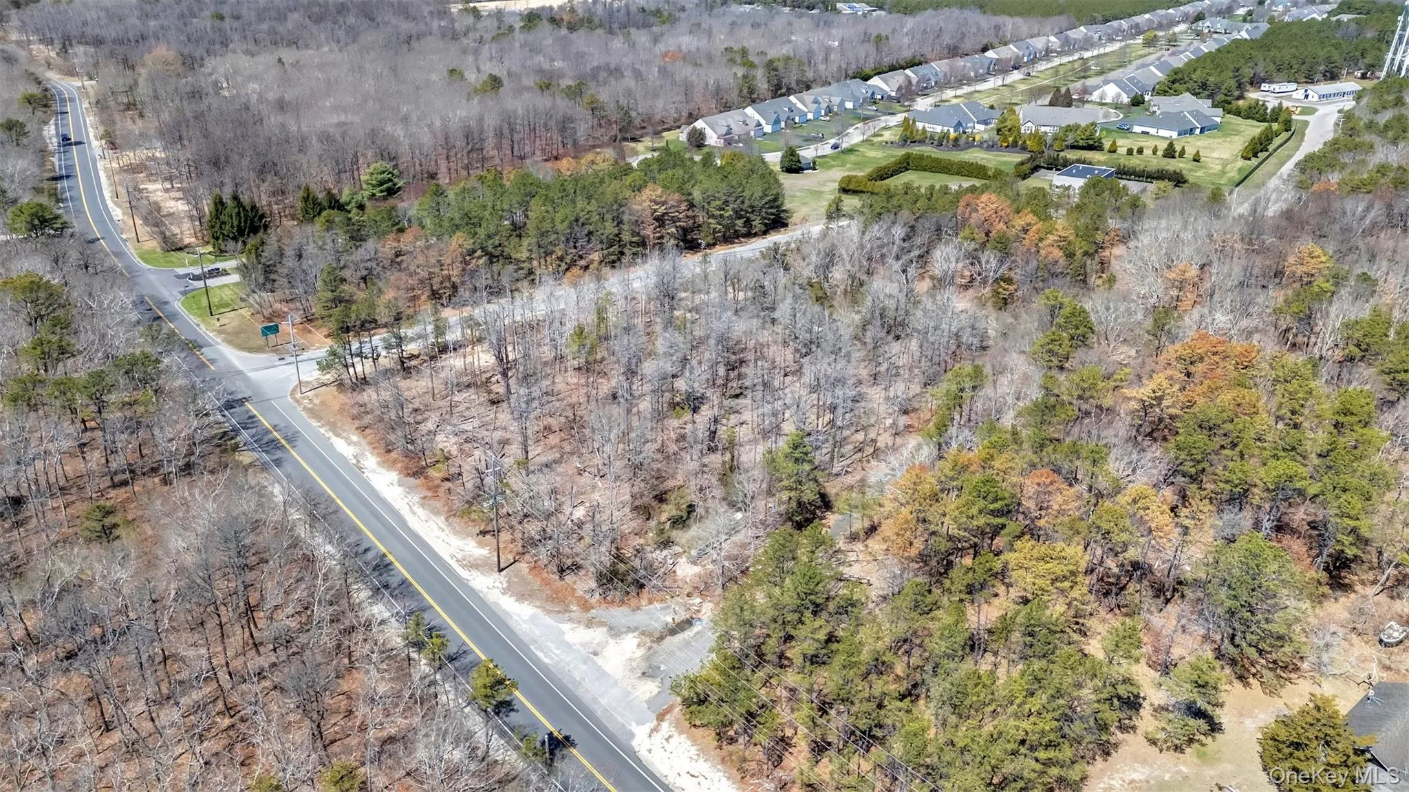 Aerial view with a forest view