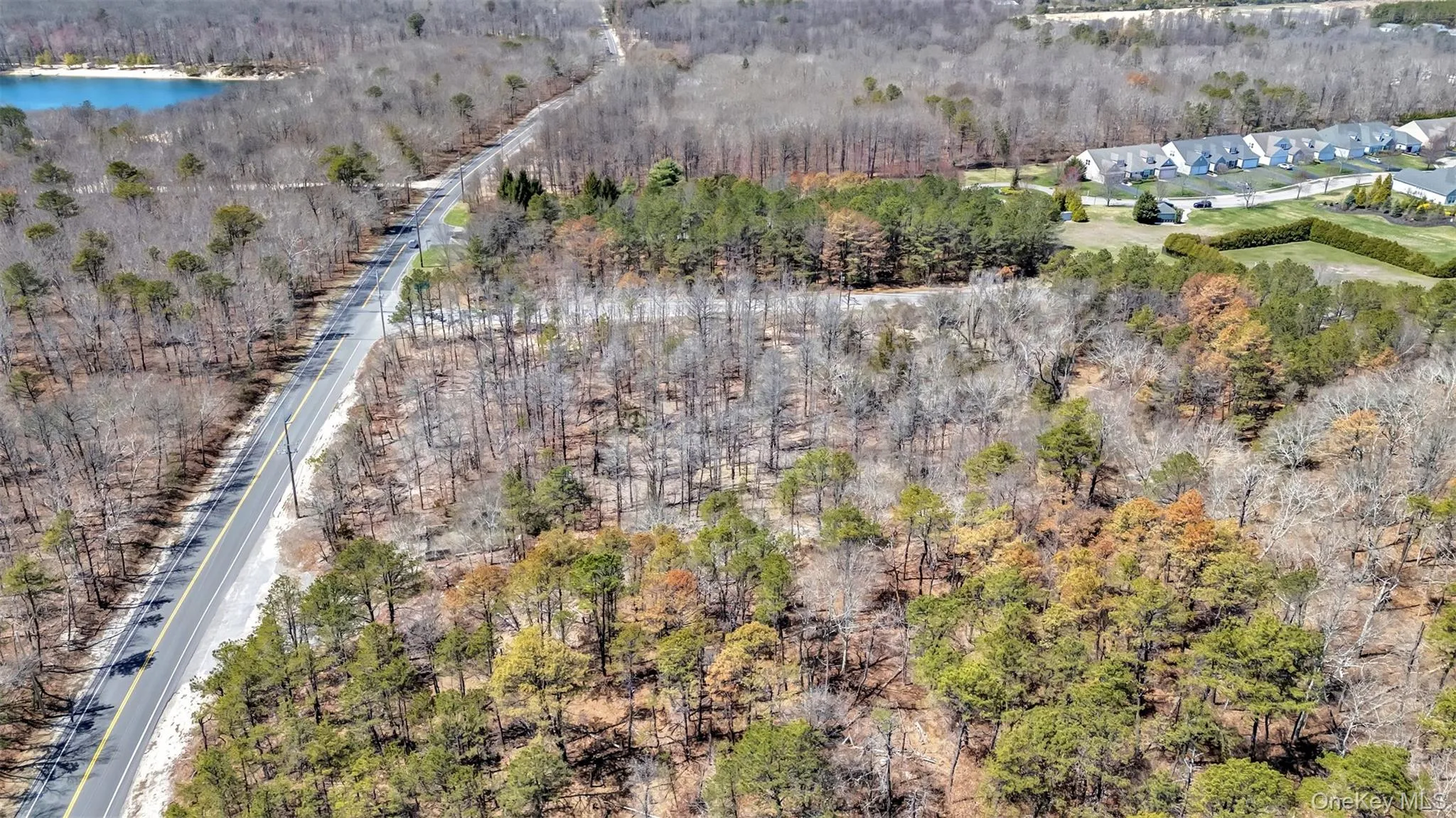 Bird's eye view with a forest view and a water view