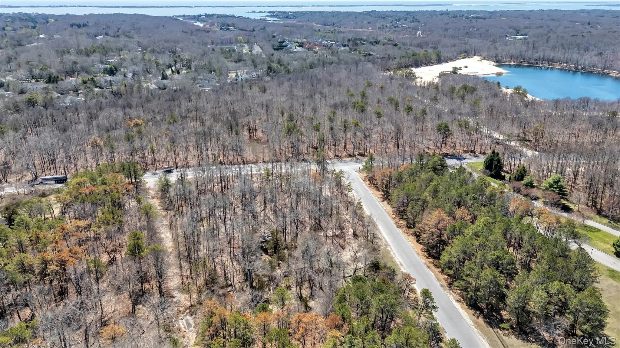 Drone / aerial view featuring a water view and a wooded view