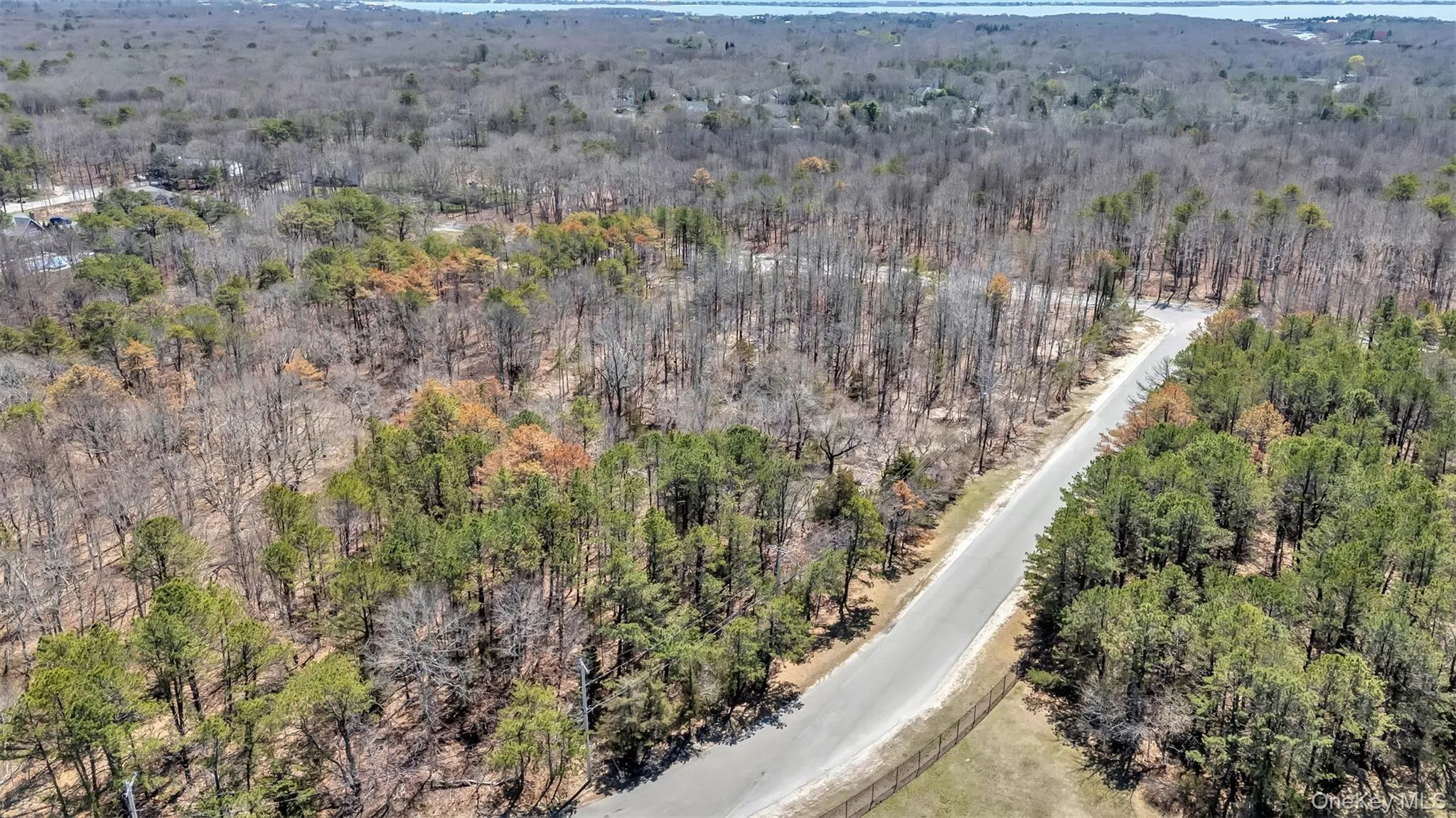 Bird's eye view featuring a forest view