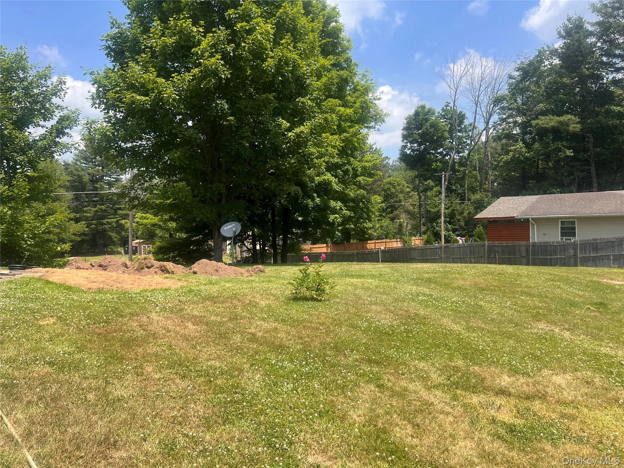 View of yard View of yard