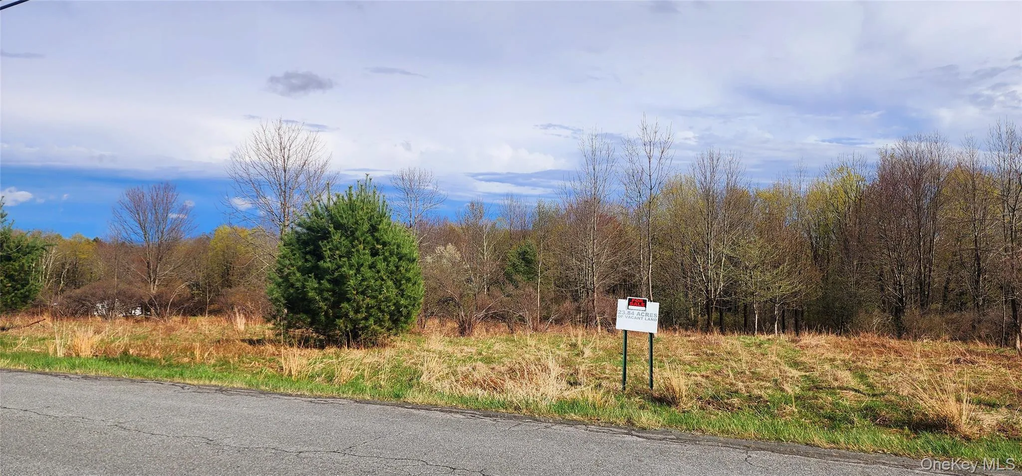 View of road featuring a wooded view View of road featuring a wooded view