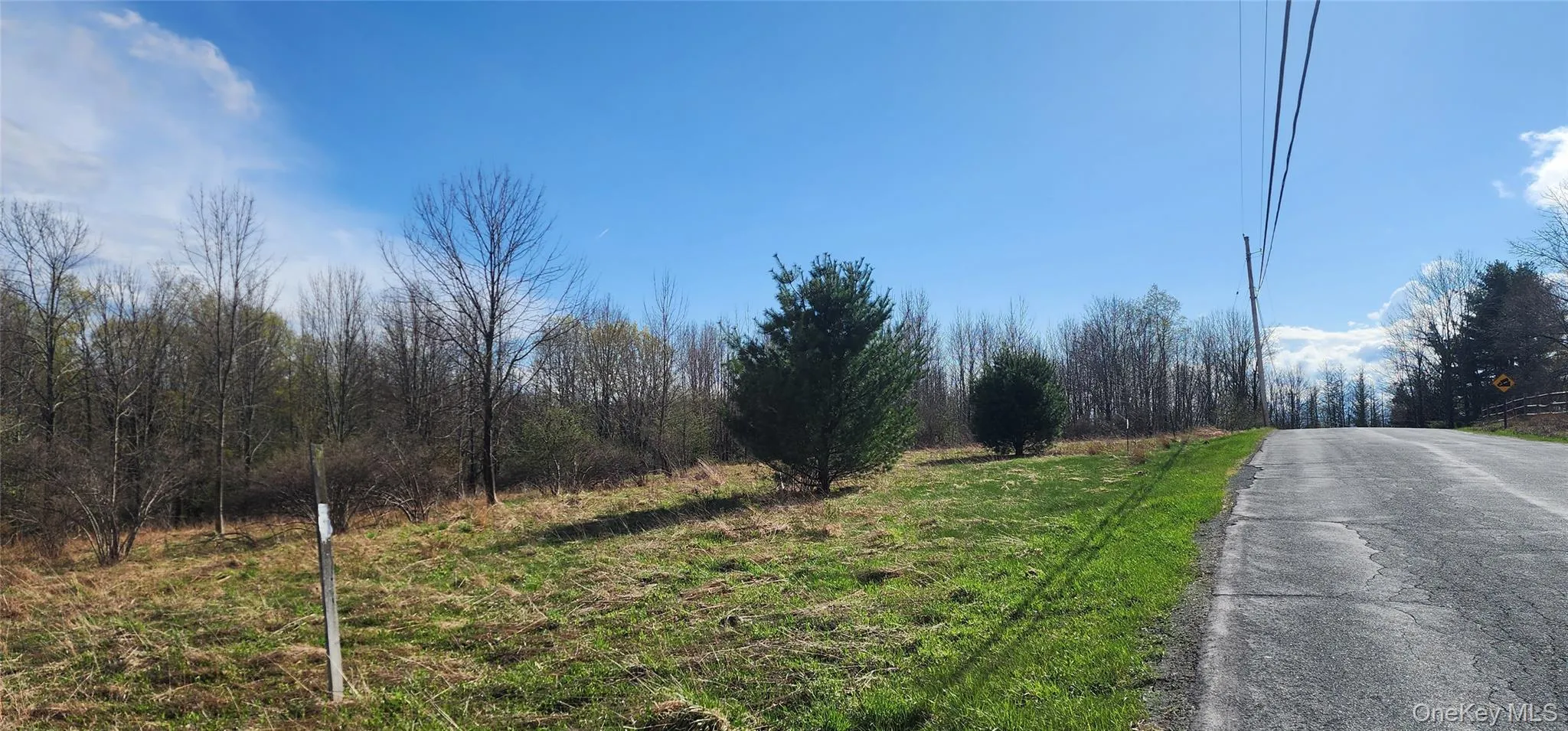 Budd Road, Fallsburg, NY, ,Land,For Rent,Budd,0,852120 Budd Road, Fallsburg, NY, ,Land,For Rent,Budd,0,852120