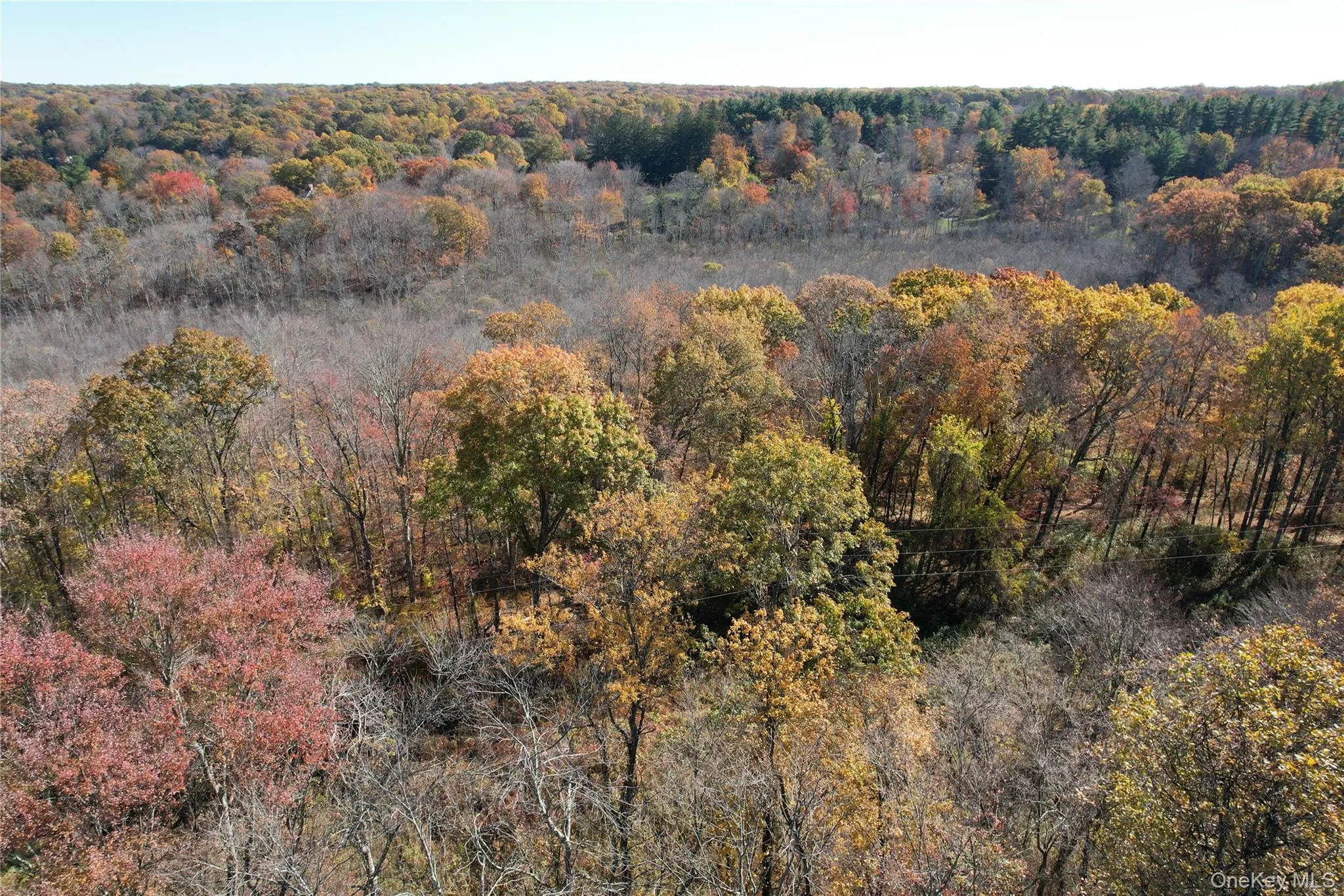 00 Scofield Road, Pound Ridge, NY, ,Land,For Rent,Scofield,0,852412 00 Scofield Road, Pound Ridge, NY, ,Land,For Rent,Scofield,0,852412