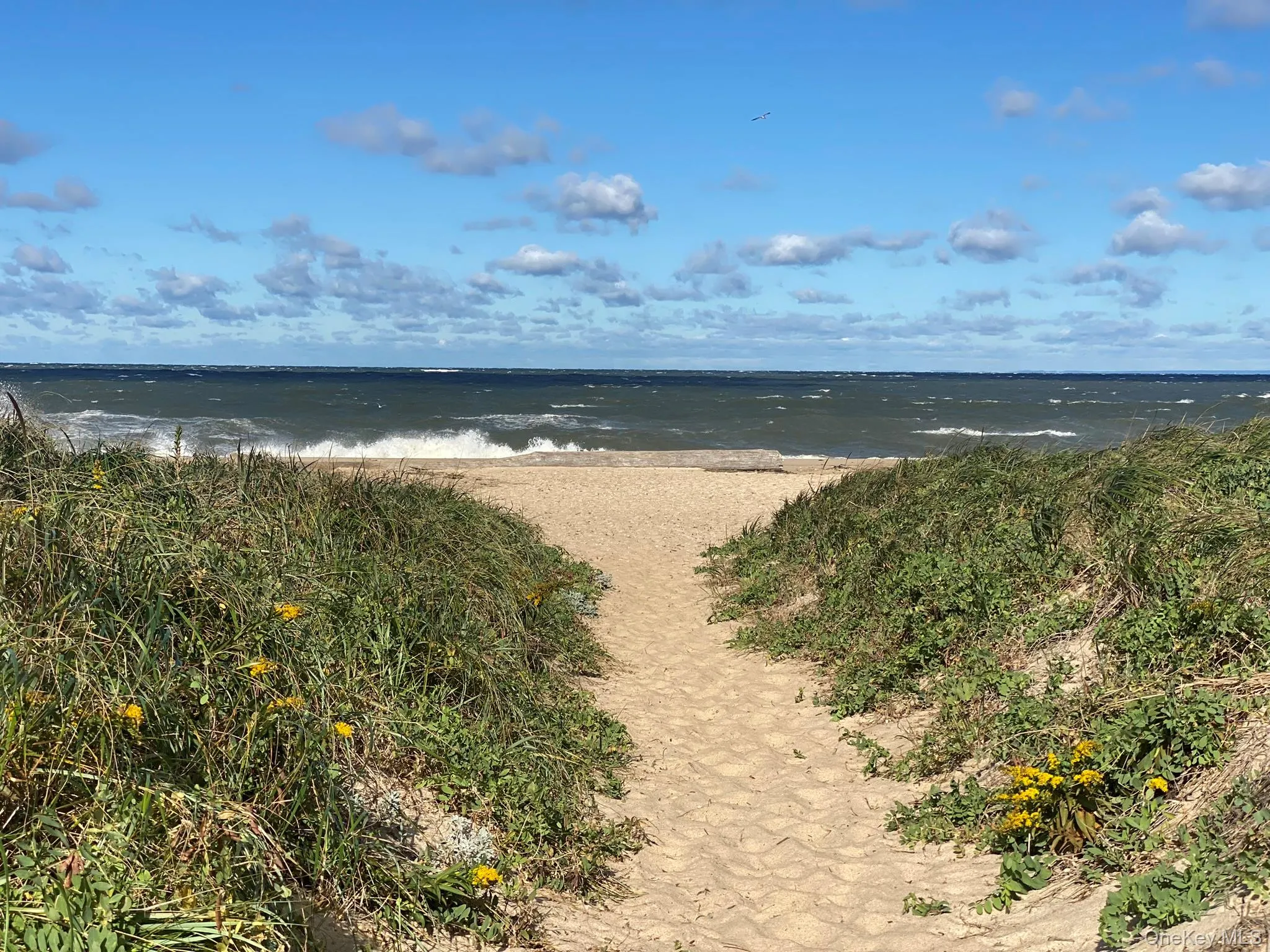 6710 Soundview Avenue, Southold, NY, 4 Bedrooms Bedrooms, 7 Rooms Rooms,2 BathroomsBathrooms,Residential Lease,Idx,Soundview,853972 6710 Soundview Avenue, Southold, NY, 4 Bedrooms Bedrooms, 7 Rooms Rooms,2 BathroomsBathrooms,Residential Lease,Idx,Soundview,853972