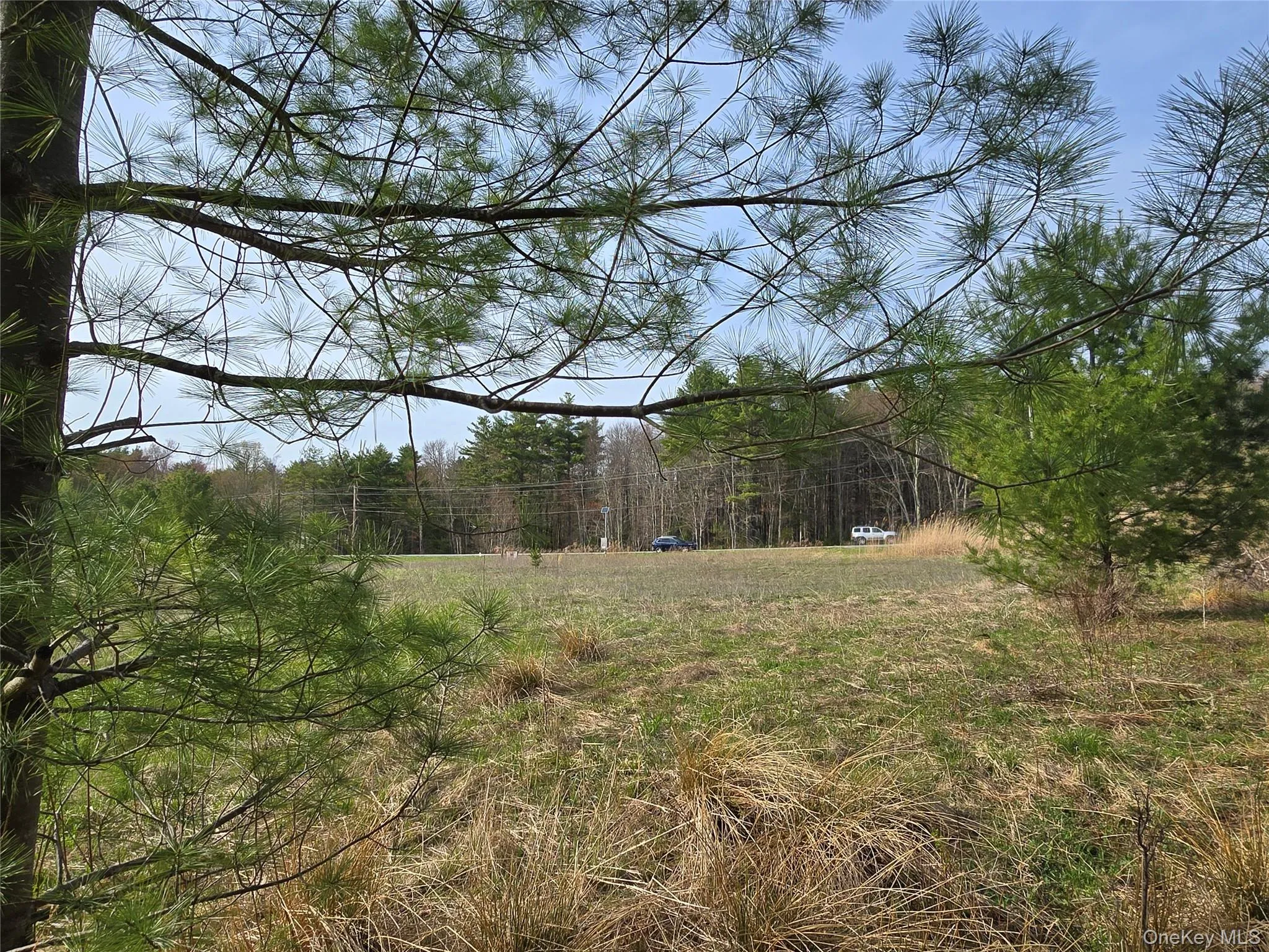 View of yard with a forest view View of yard with a forest view