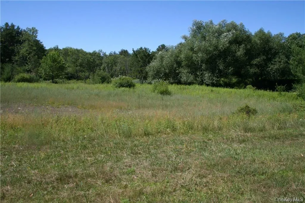 #TBD NYS Route 17B, Thompson, NY, ,Land,For Rent,NYS Route 17B,0,854177 #TBD NYS Route 17B, Thompson, NY, ,Land,For Rent,NYS Route 17B,0,854177