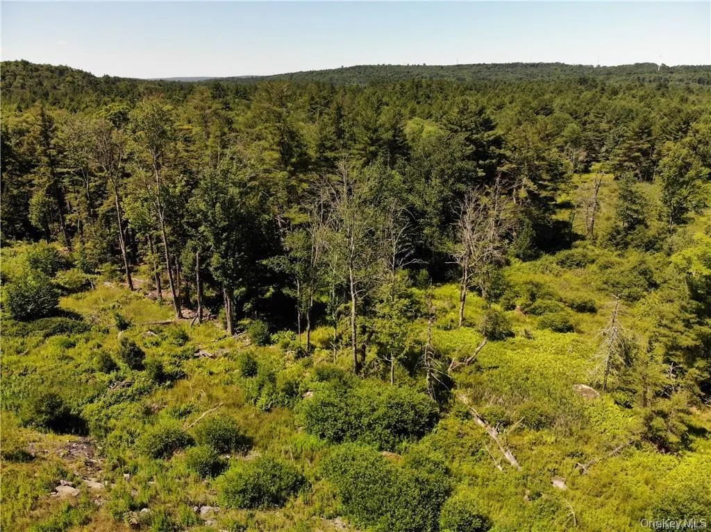 #TBD NYS Route 17B, Thompson, NY, ,Land,For Rent,NYS Route 17B,0,854177 #TBD NYS Route 17B, Thompson, NY, ,Land,For Rent,NYS Route 17B,0,854177