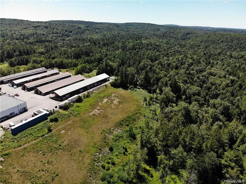#TBD NYS Route 17B, Thompson, NY, ,Land,For Rent,NYS Route 17B,0,854177 #TBD NYS Route 17B, Thompson, NY, ,Land,For Rent,NYS Route 17B,0,854177