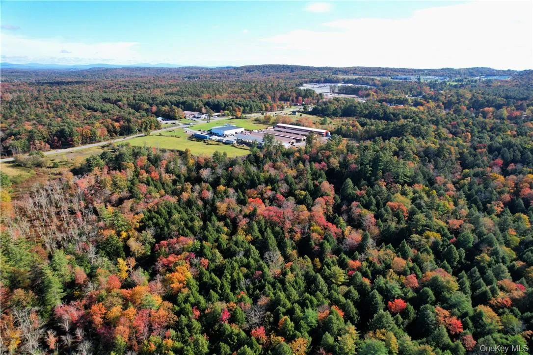 #TBD NYS Route 17B, Thompson, NY, ,Land,For Rent,NYS Route 17B,0,854177 #TBD NYS Route 17B, Thompson, NY, ,Land,For Rent,NYS Route 17B,0,854177