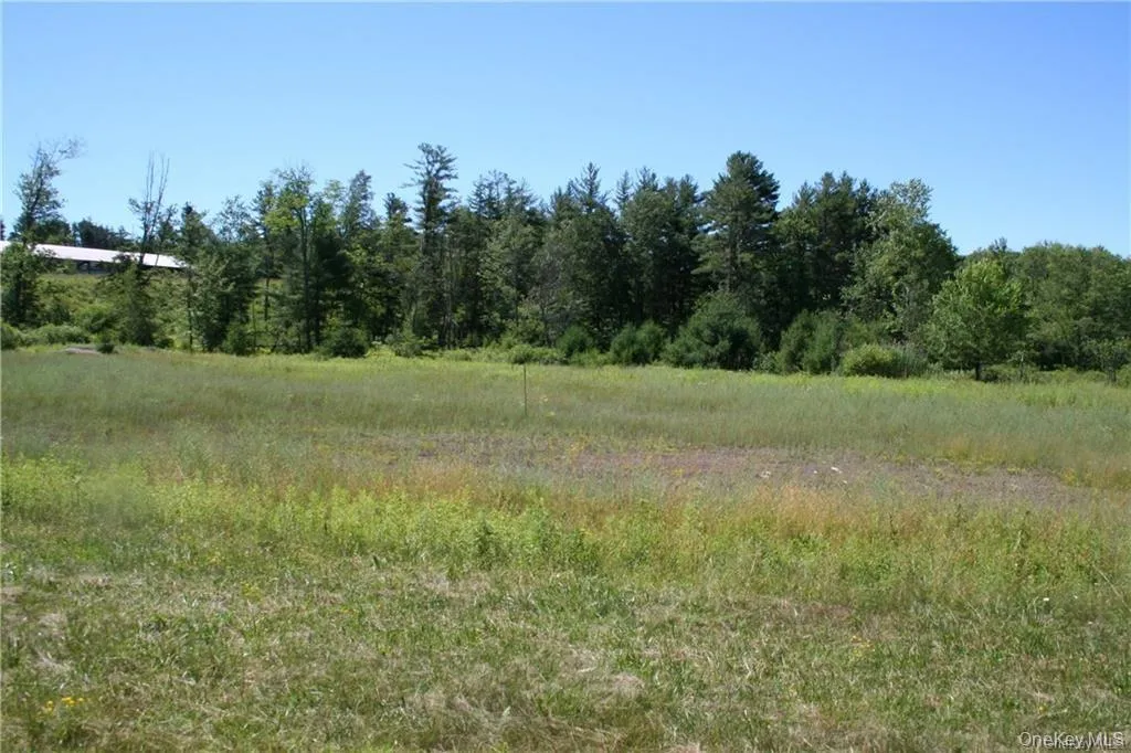 #TBD NYS Route 17B, Thompson, NY, ,Land,For Rent,NYS Route 17B,0,854177 #TBD NYS Route 17B, Thompson, NY, ,Land,For Rent,NYS Route 17B,0,854177