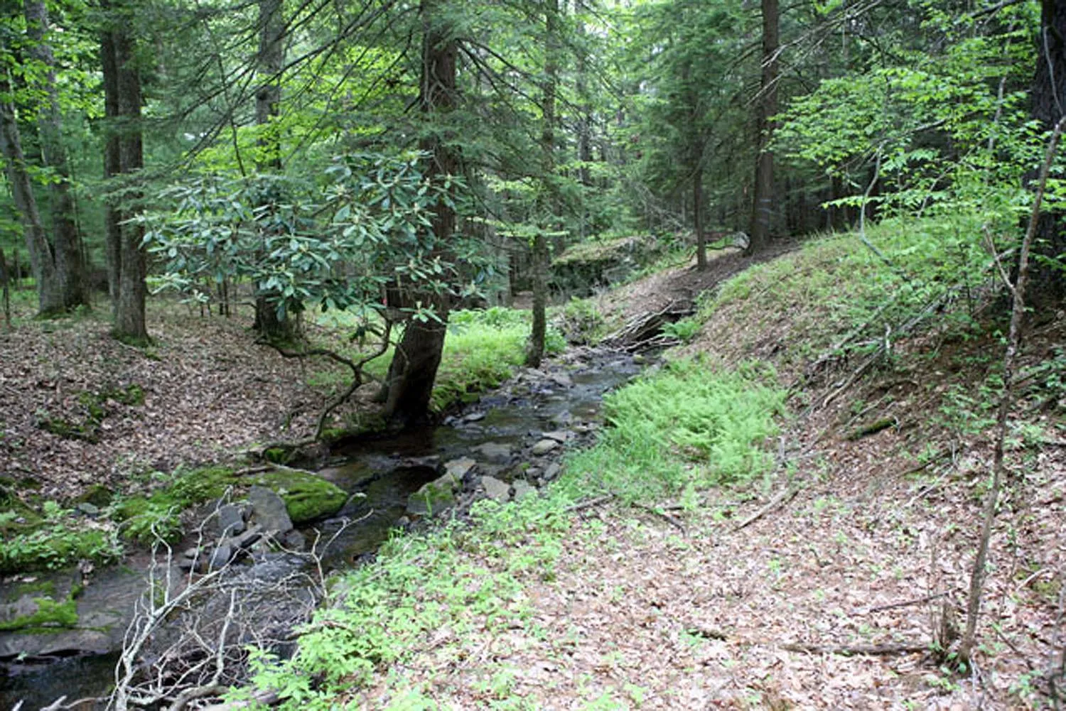 View of stream and featuring a wooded view View of stream and featuring a wooded view