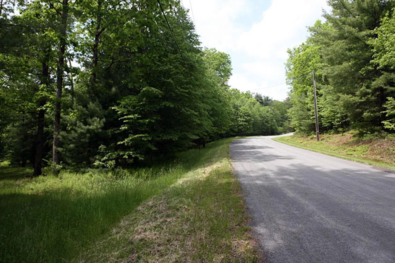 View of street with a wooded view View of street with a wooded view