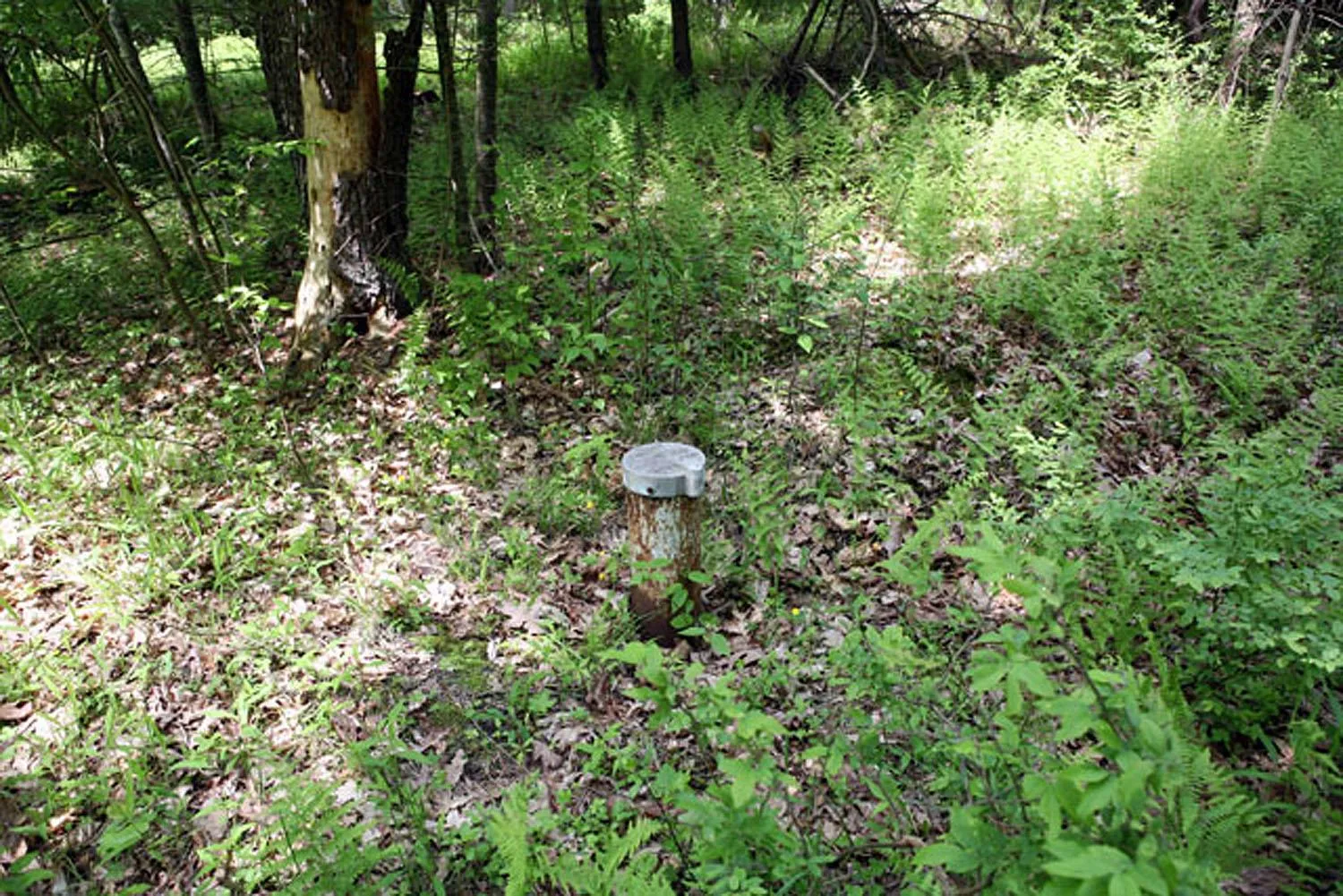 Drilled well on property Drilled well on property