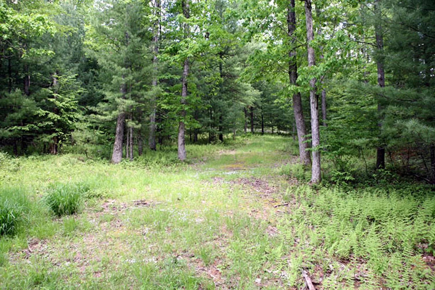 Driveway Driveway