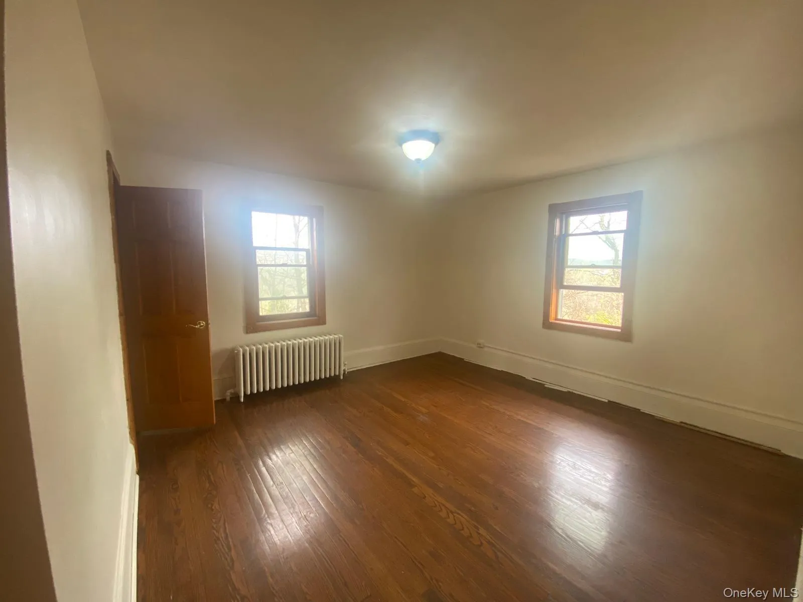 Spare room featuring baseboards, dark wood-style floors, a healthy amount of sunlight, and radiator Spare room featuring baseboards, dark wood-style floors, a healthy amount of sunlight, and radiator