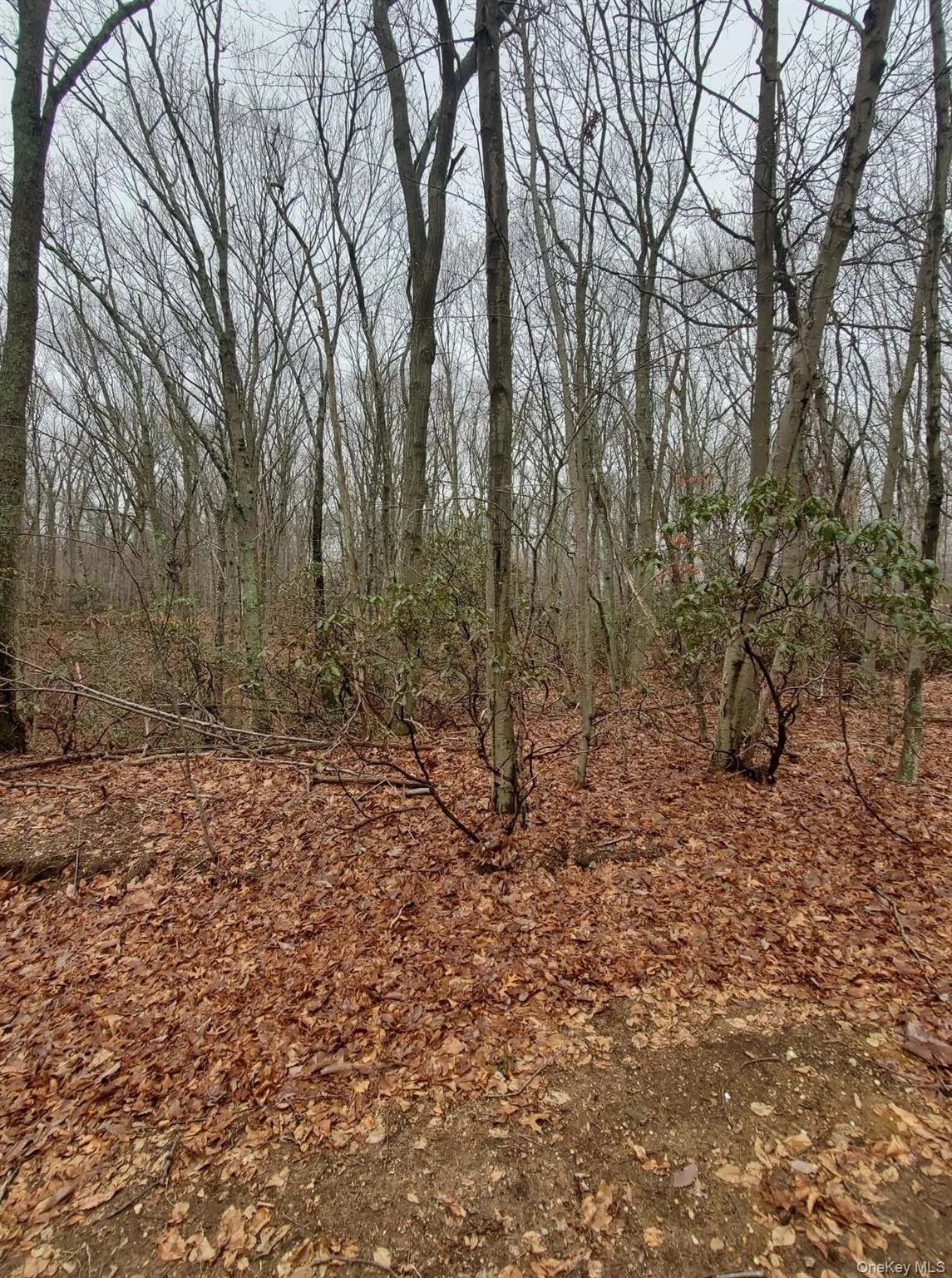 260 Old Mill Road, Smithtown, NY, ,Land,For Rent,Old Mill,0,856152 260 Old Mill Road, Smithtown, NY, ,Land,For Rent,Old Mill,0,856152