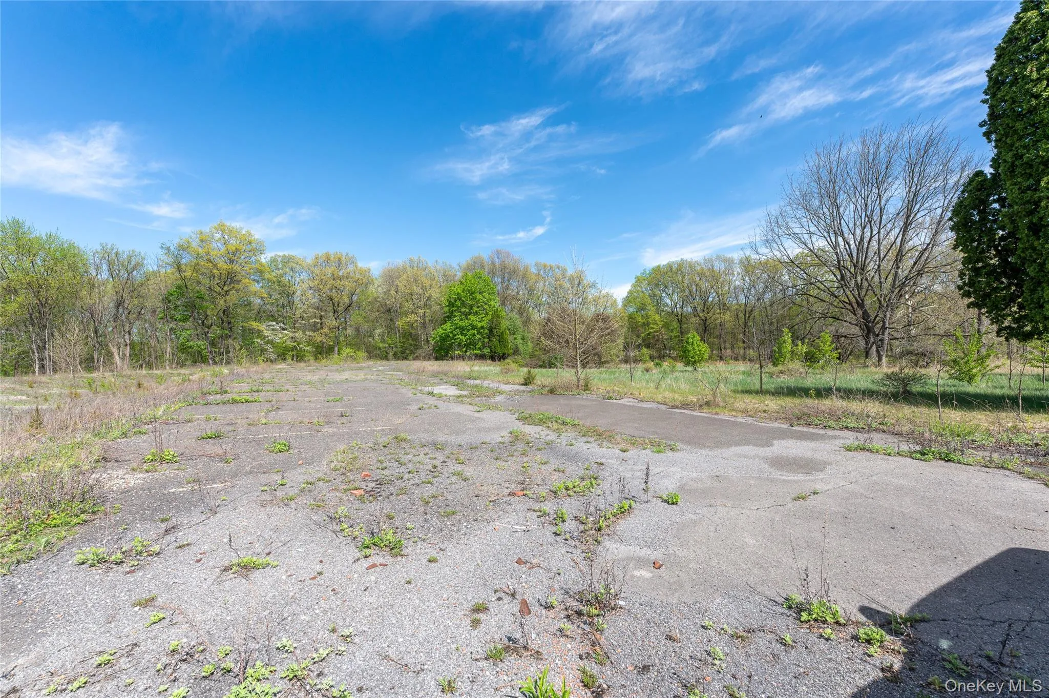 403 Main Street, New Paltz, NY, ,Land,For Rent,Main,0,856424 403 Main Street, New Paltz, NY, ,Land,For Rent,Main,0,856424