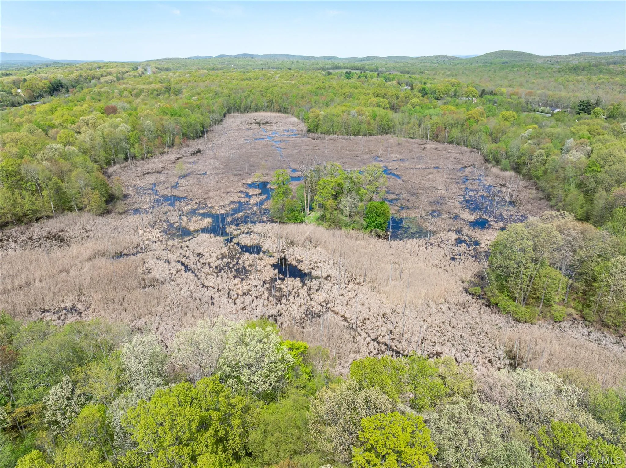 Birds eye view of property featuring a wooded view Birds eye view of property featuring a wooded view