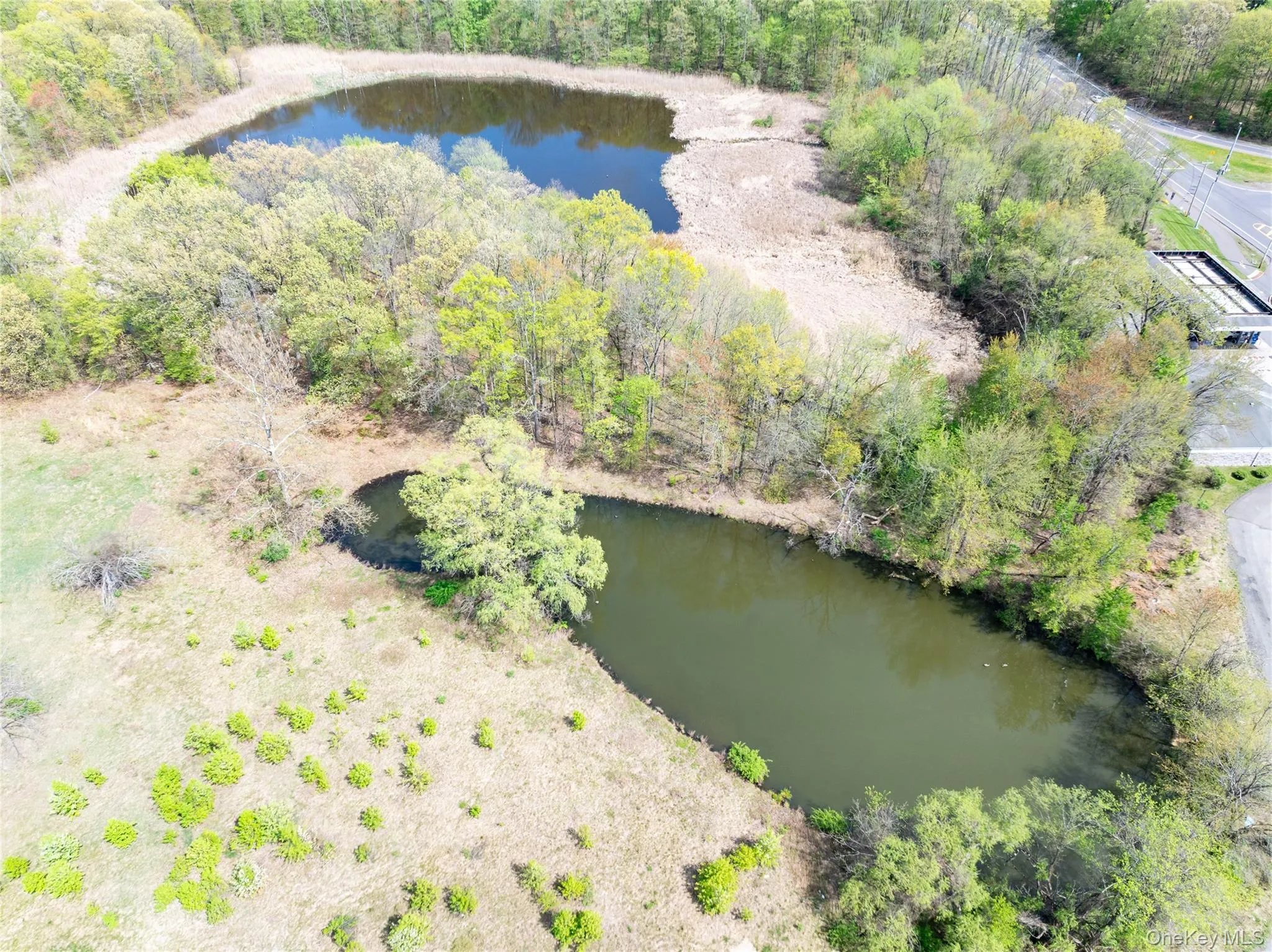 Drone / aerial view featuring a water view and a forest view Drone / aerial view featuring a water view and a forest view