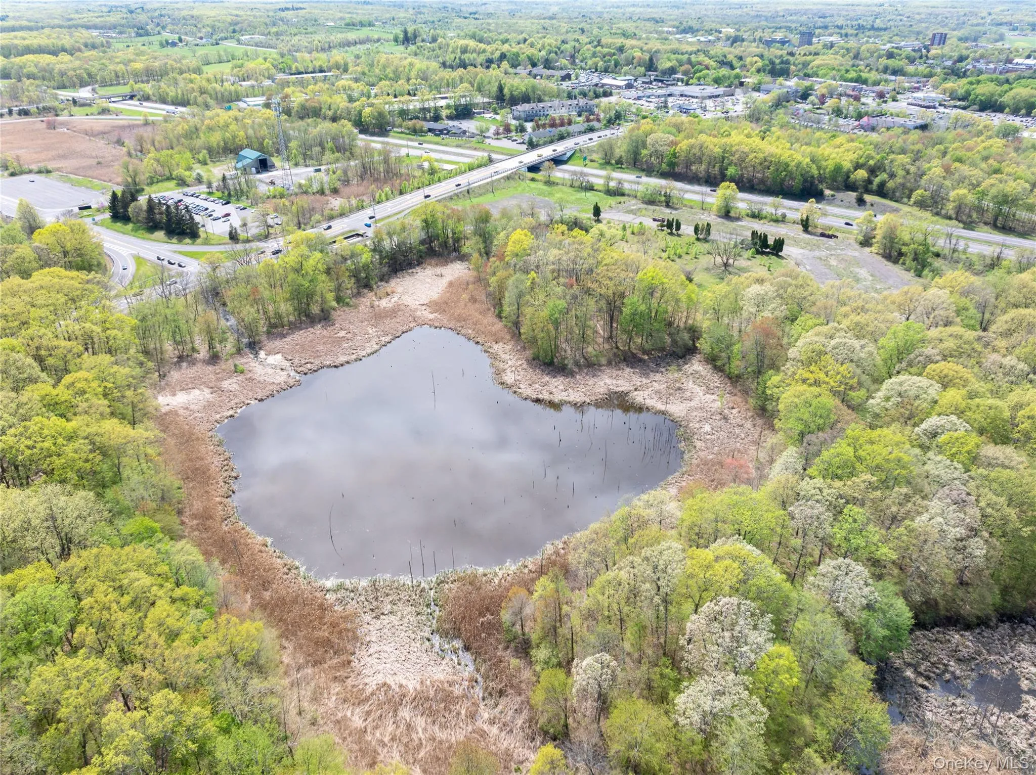 Bird's eye view featuring a water view and a forest view Bird's eye view featuring a water view and a forest view