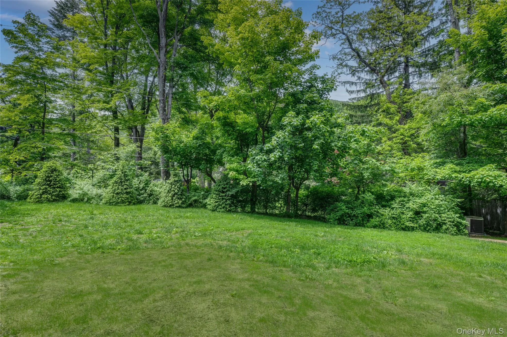 Private Backyard Private Backyard