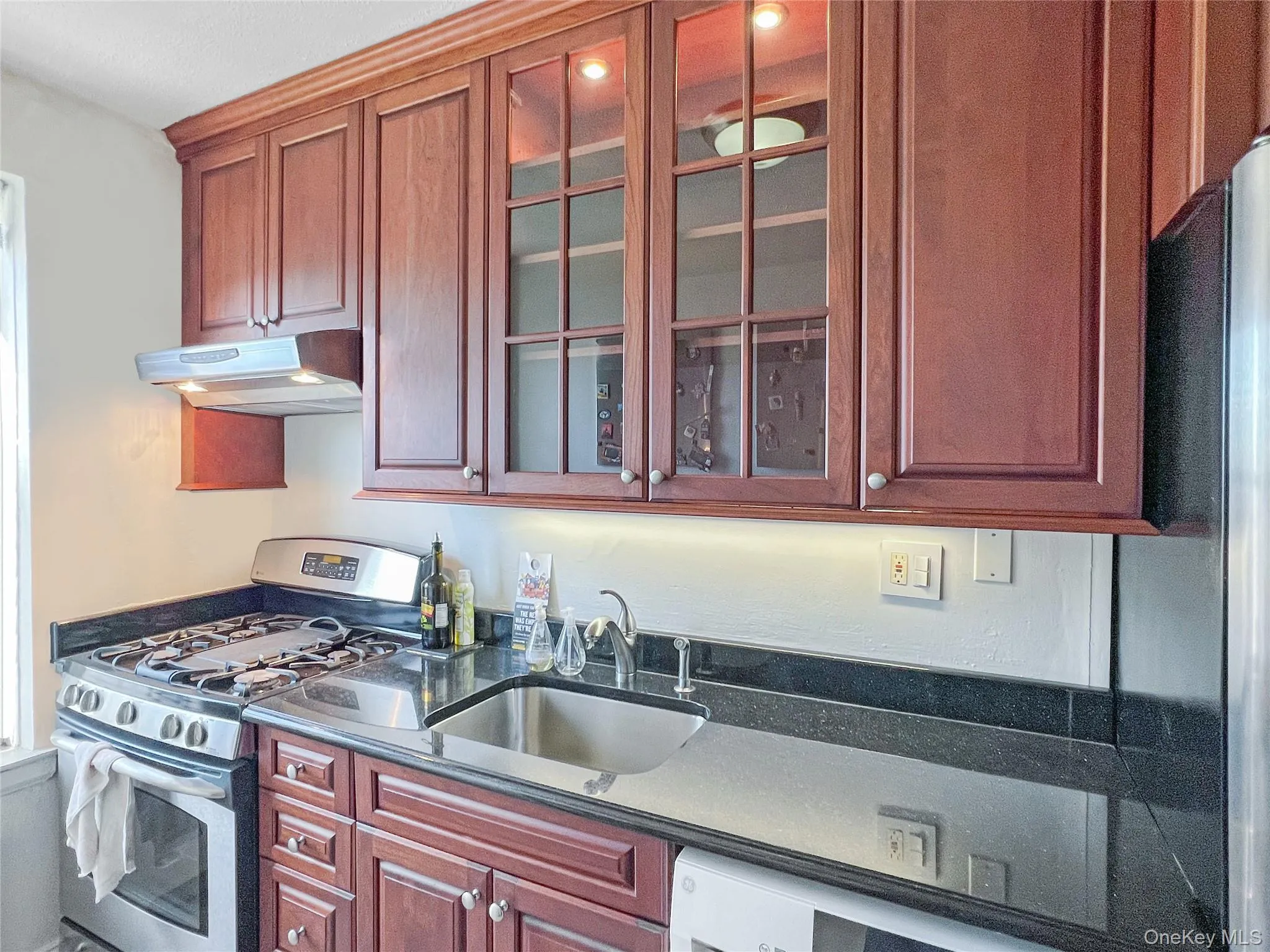 Kitchen featuring under cabinet range hood, appliances with stainless steel finishes, glass insert cabinets, and a sink Kitchen featuring under cabinet range hood, appliances with stainless steel finishes, glass insert cabinets, and a sink