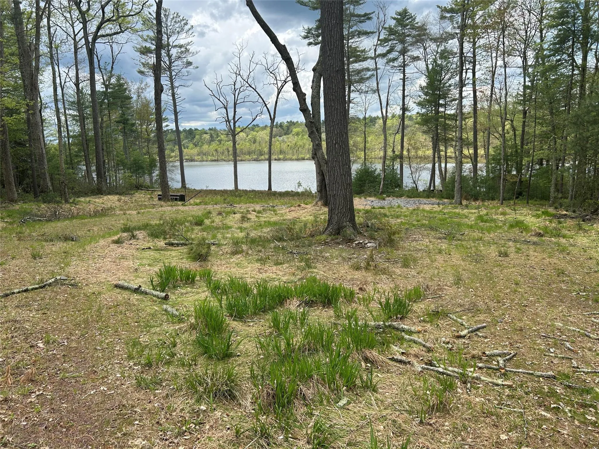 Water view with a heavily wooded area Water view with a heavily wooded area