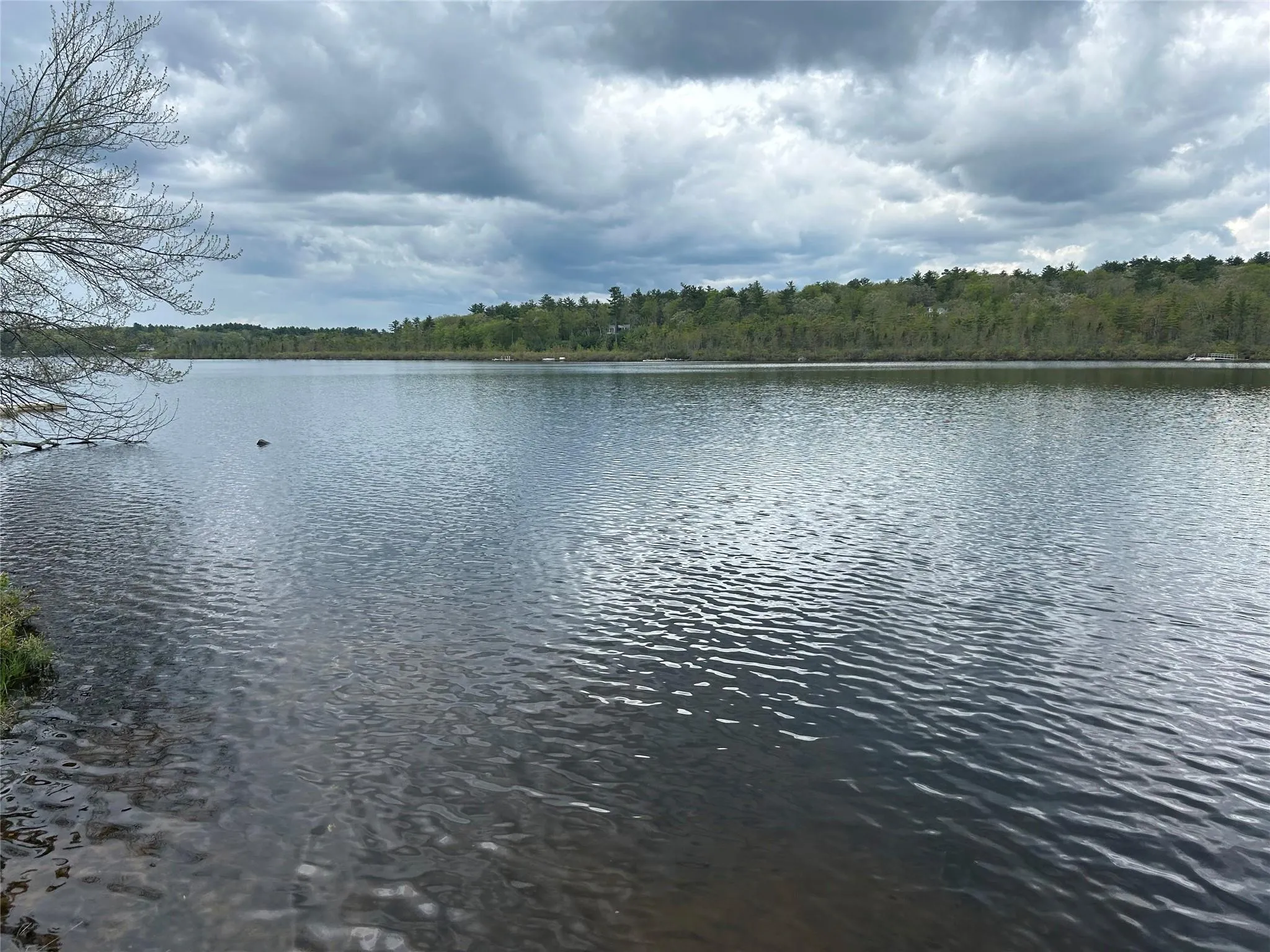 Water view with a forest Water view with a forest