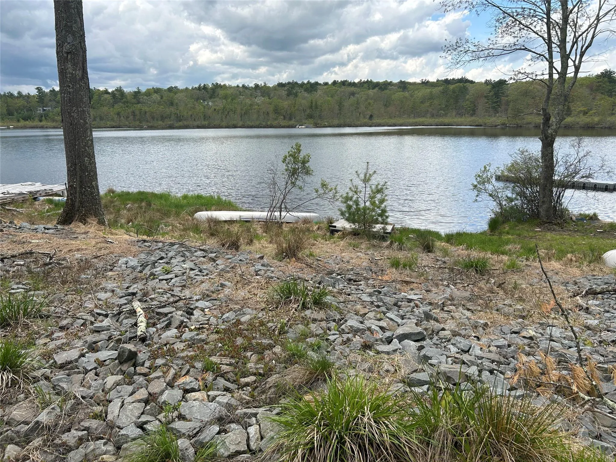 Water view featuring a forest Water view featuring a forest