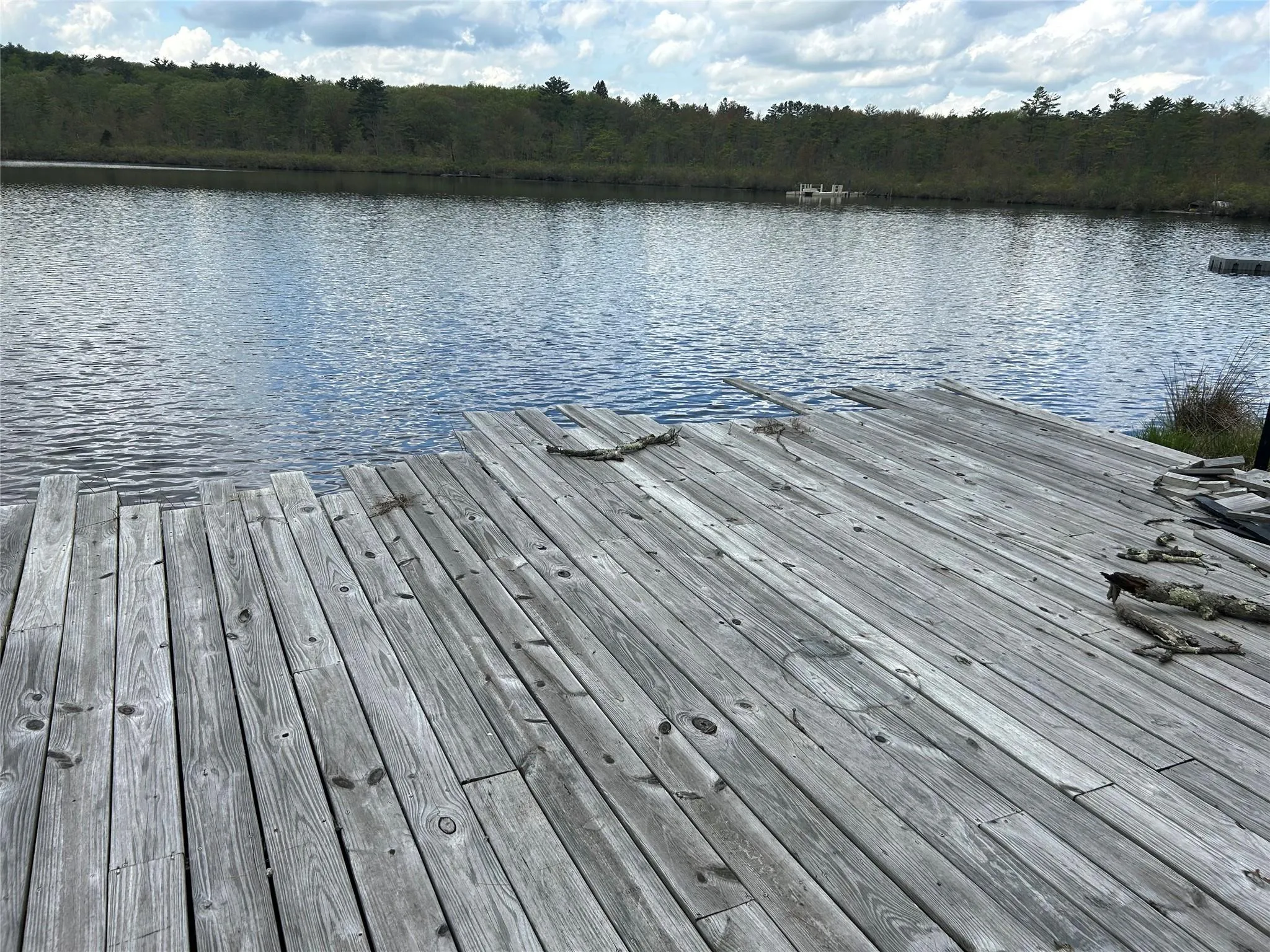 Dock area featuring a water view and a view of trees Dock area featuring a water view and a view of trees