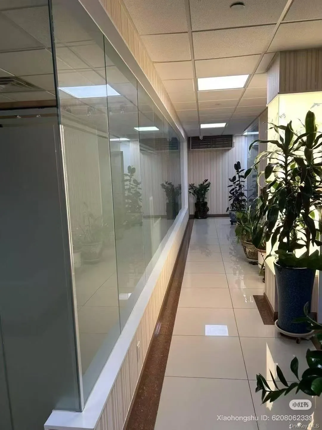 Corridor featuring light tile patterned floors and a drop ceiling Corridor featuring light tile patterned floors and a drop ceiling