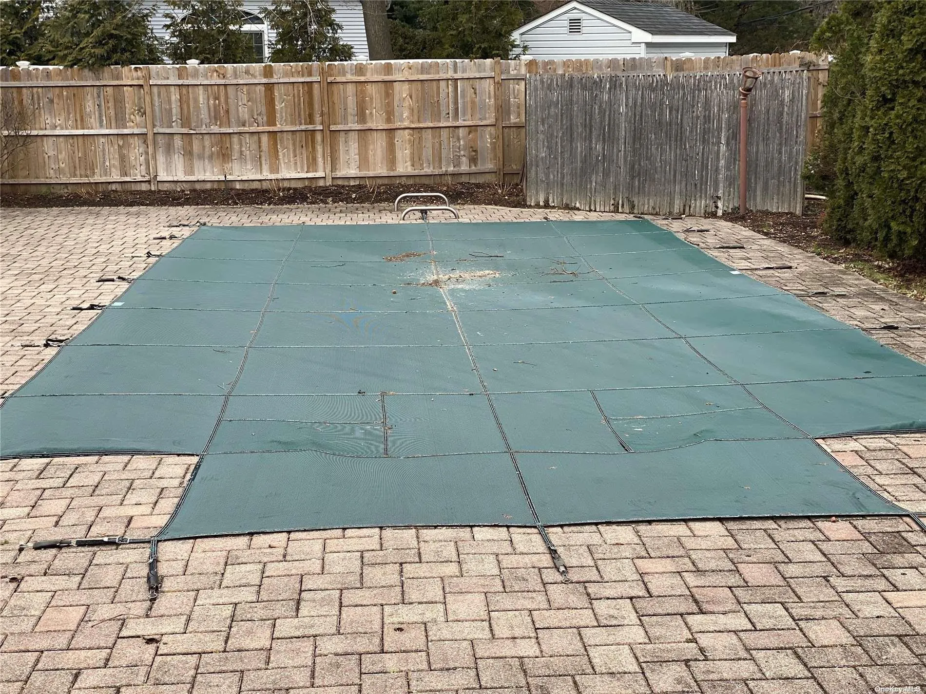 BACKYARD BACKYARD