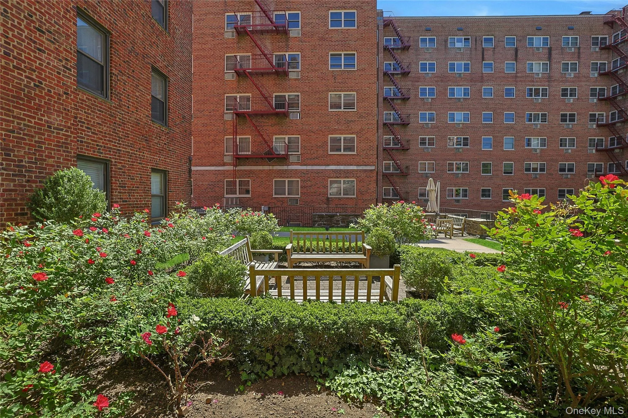 68 Hartsdale Avenue, Greenburgh, NY, 1 Bedroom Bedrooms, 3 Rooms Rooms,1 BathroomBathrooms,Residential,For Rent,Hartsdale,0,859447 68 Hartsdale Avenue, Greenburgh, NY, 1 Bedroom Bedrooms, 3 Rooms Rooms,1 BathroomBathrooms,Residential,For Rent,Hartsdale,0,859447
