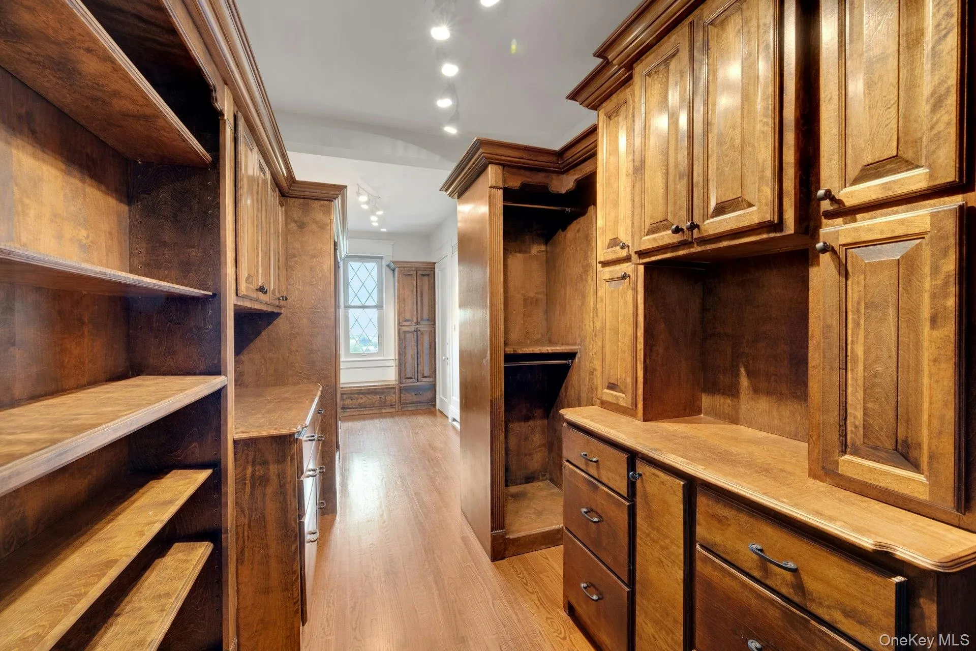 Spacious primary sutie (walk-in) closet with light wood finished floors Spacious primary sutie (walk-in) closet with light wood finished floors