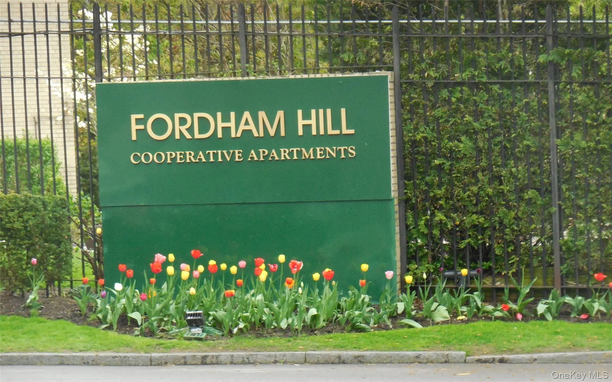 4 Fordham Hill Oval, New York, NY, 1 Bedroom Bedrooms, 3 Rooms Rooms,1 BathroomBathrooms,Residential Sale,For Rent,Fordham Hill Oval,0,859864 4 Fordham Hill Oval, New York, NY, 1 Bedroom Bedrooms, 3 Rooms Rooms,1 BathroomBathrooms,Residential Sale,For Rent,Fordham Hill Oval,0,859864
