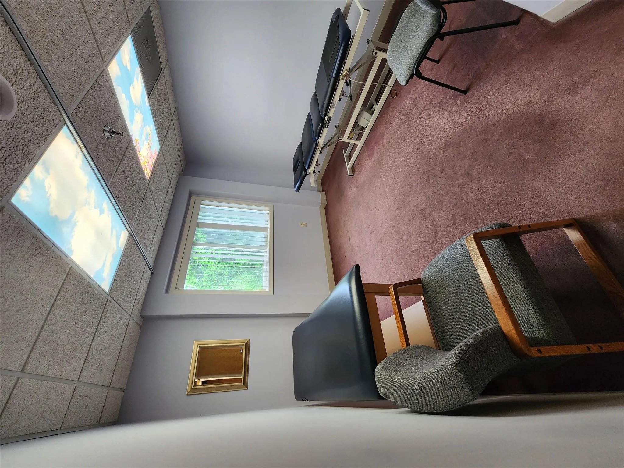 Living area featuring a drop ceiling, carpet flooring, and baseboards Living area featuring a drop ceiling, carpet flooring, and baseboards