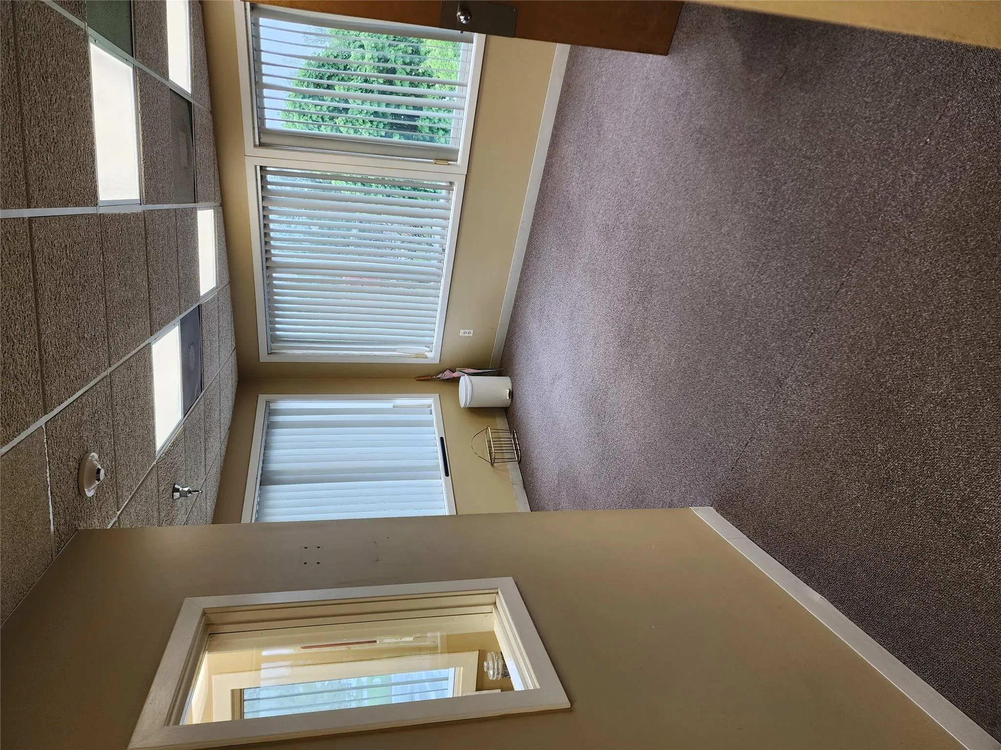 Carpeted empty room with baseboards and a drop ceiling Carpeted empty room with baseboards and a drop ceiling