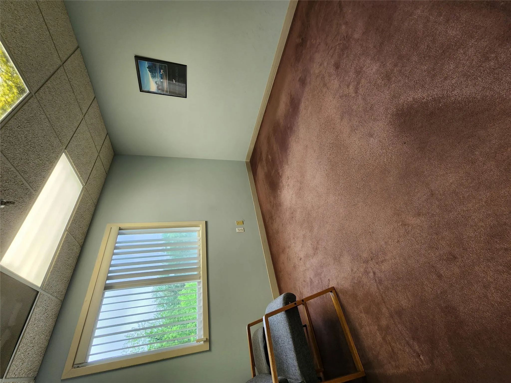 Carpeted empty room with a drop ceiling and baseboards Carpeted empty room with a drop ceiling and baseboards