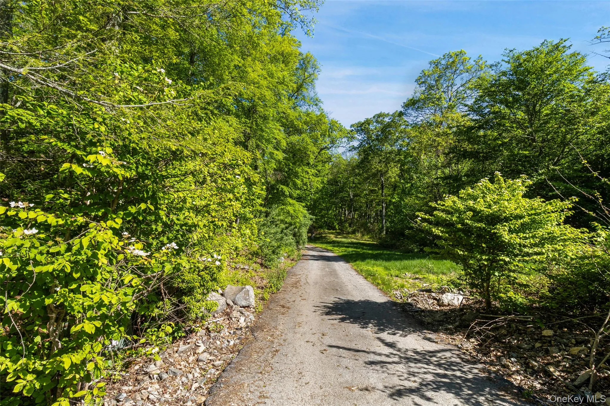 Driveway Driveway